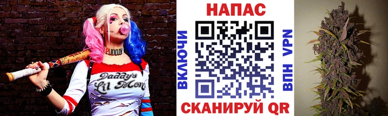 Как найти закладки Славянск-на-Кубани COCAIN Меф Амфетамин A PVP Канабис Гашиш