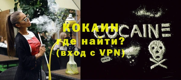 дживик Богородск