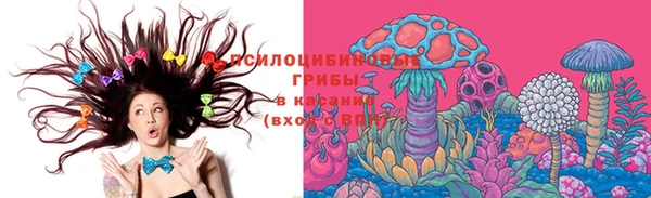 дживик Богородск