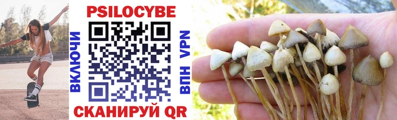 Галлюциногенные грибы Psilocybine cubensis  Славянск-на-Кубани 
